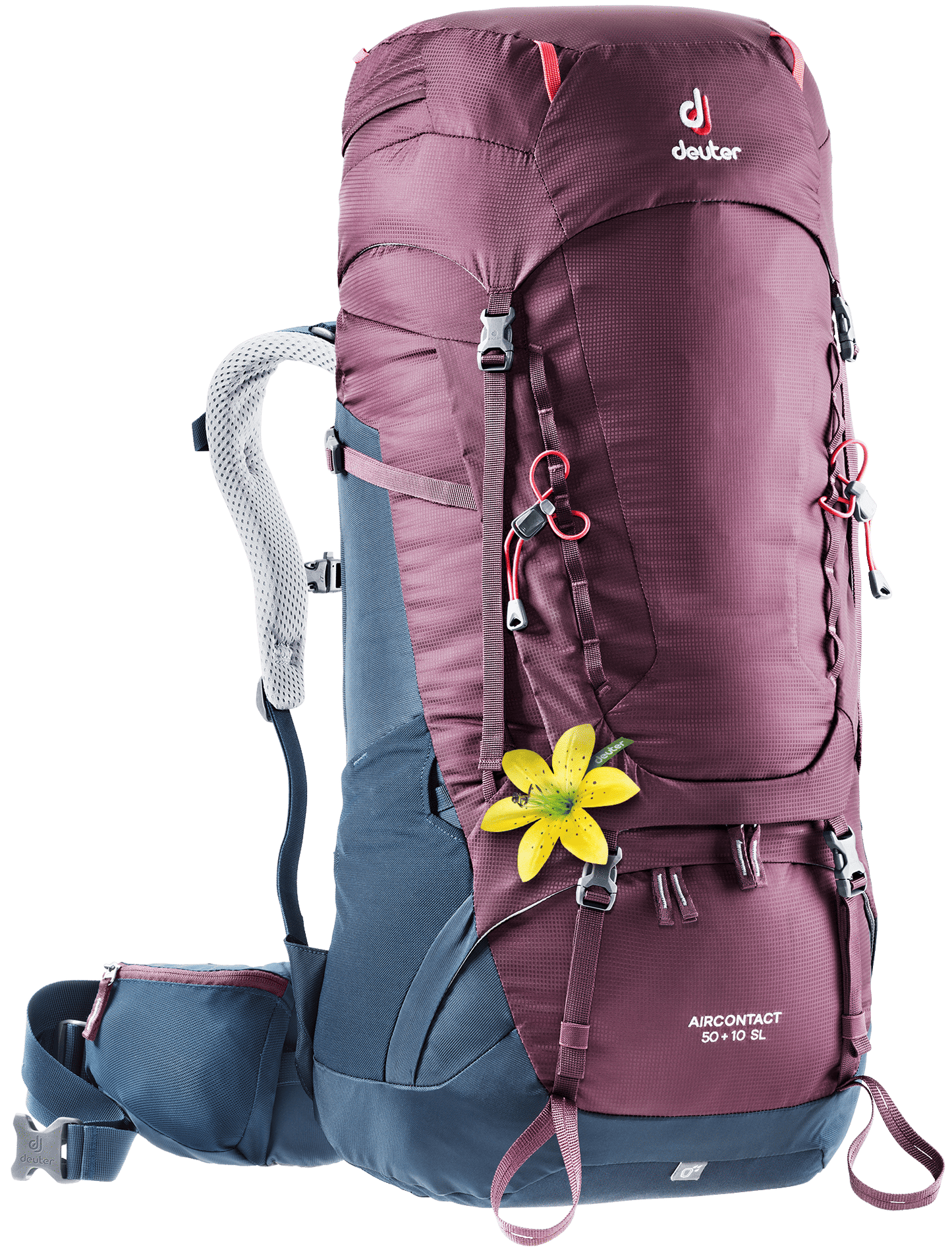 Deuter Unisex Purple Aircontact 50 + 10 SL