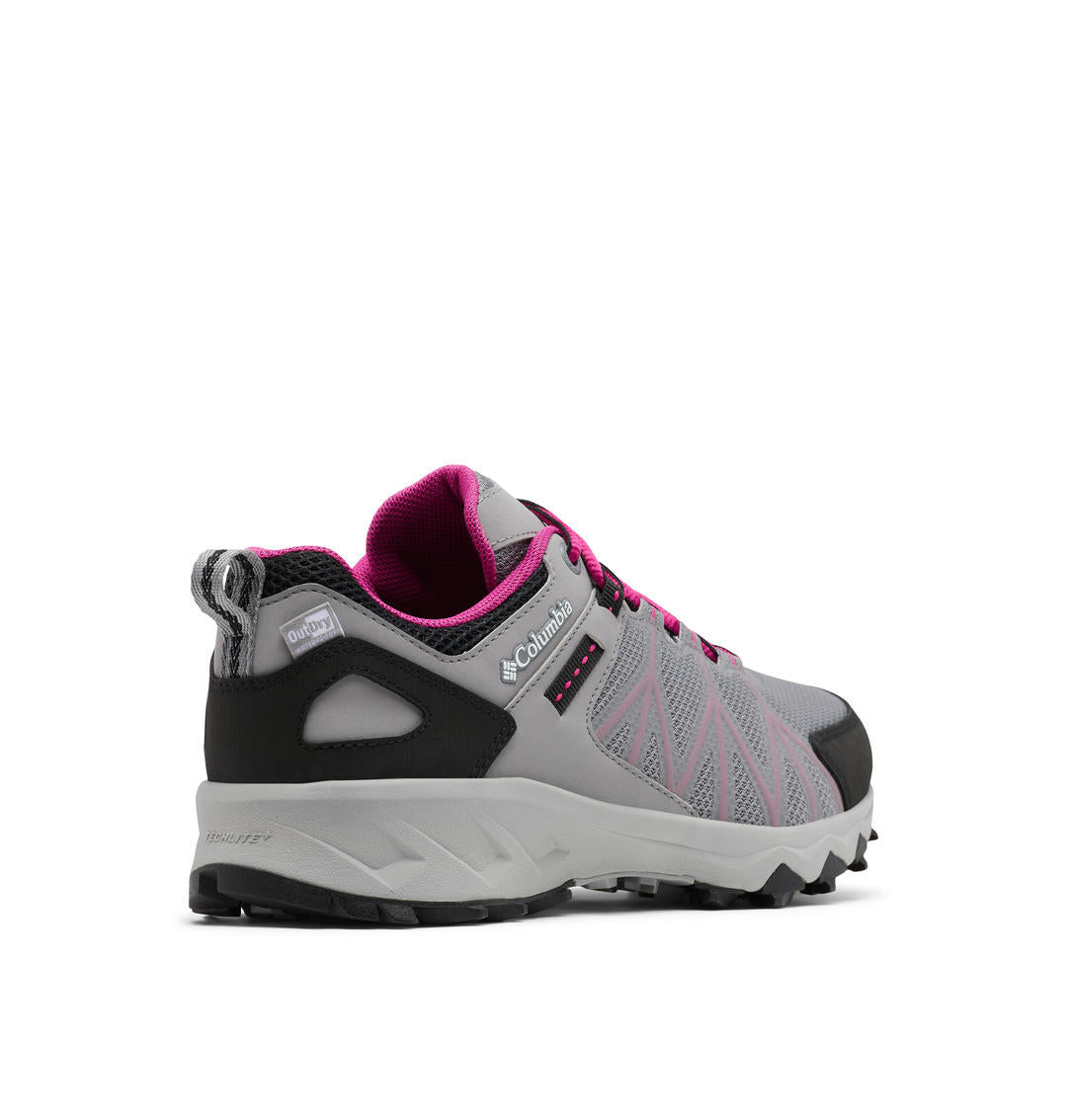 A Women Wearing Columbia Women Grey PEAKFREAK II OUTDRY