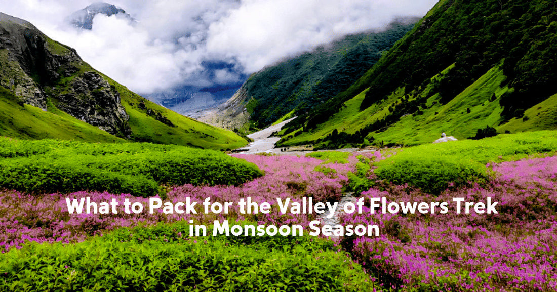 What to Pack for the Valley of Flowers Trek in Monsoon Season