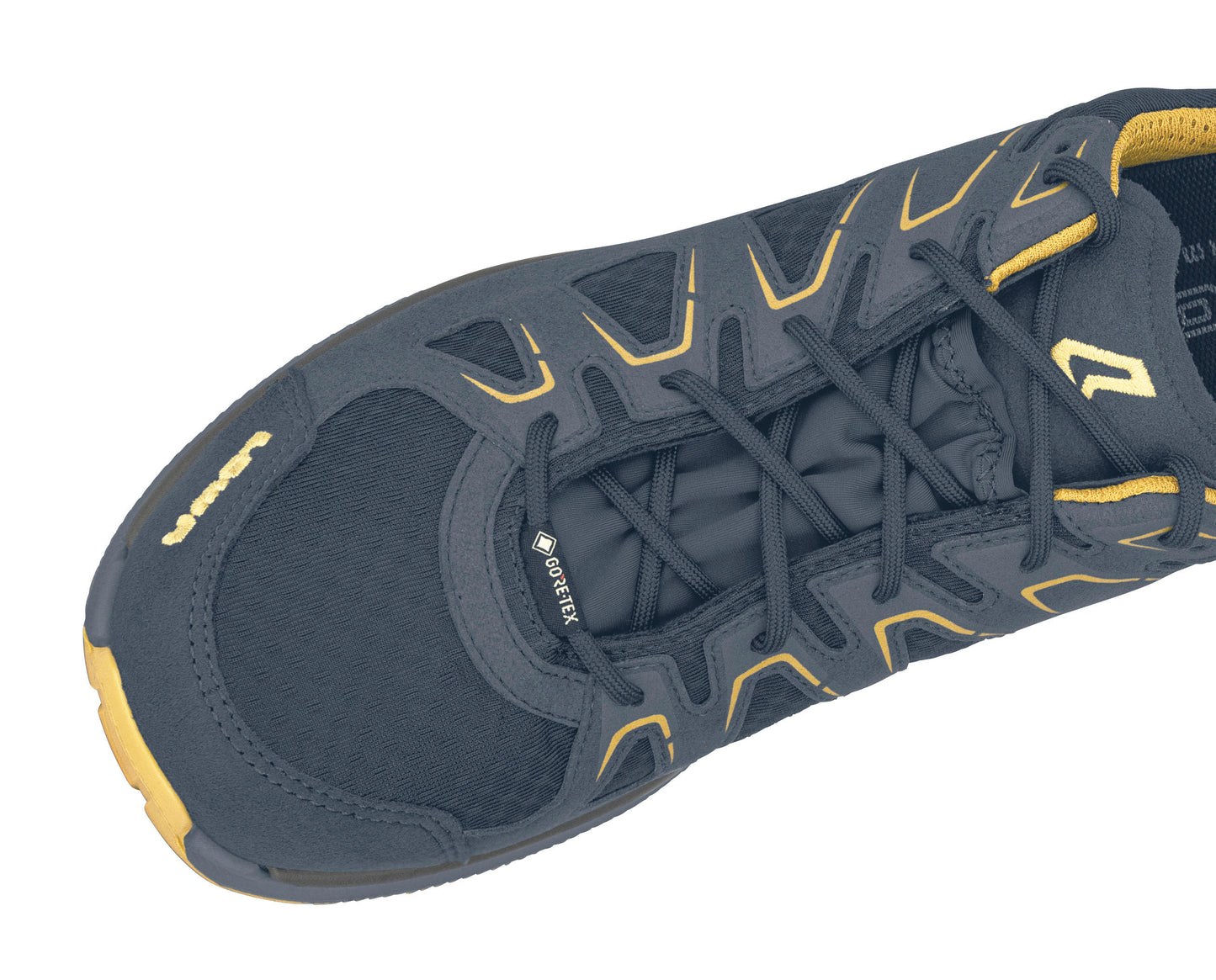 Lowa Men BLUE INNOX EVO GTX LO SHOES