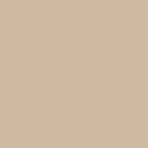 Columbia Men Beige CSC Basic Logo Tshirt