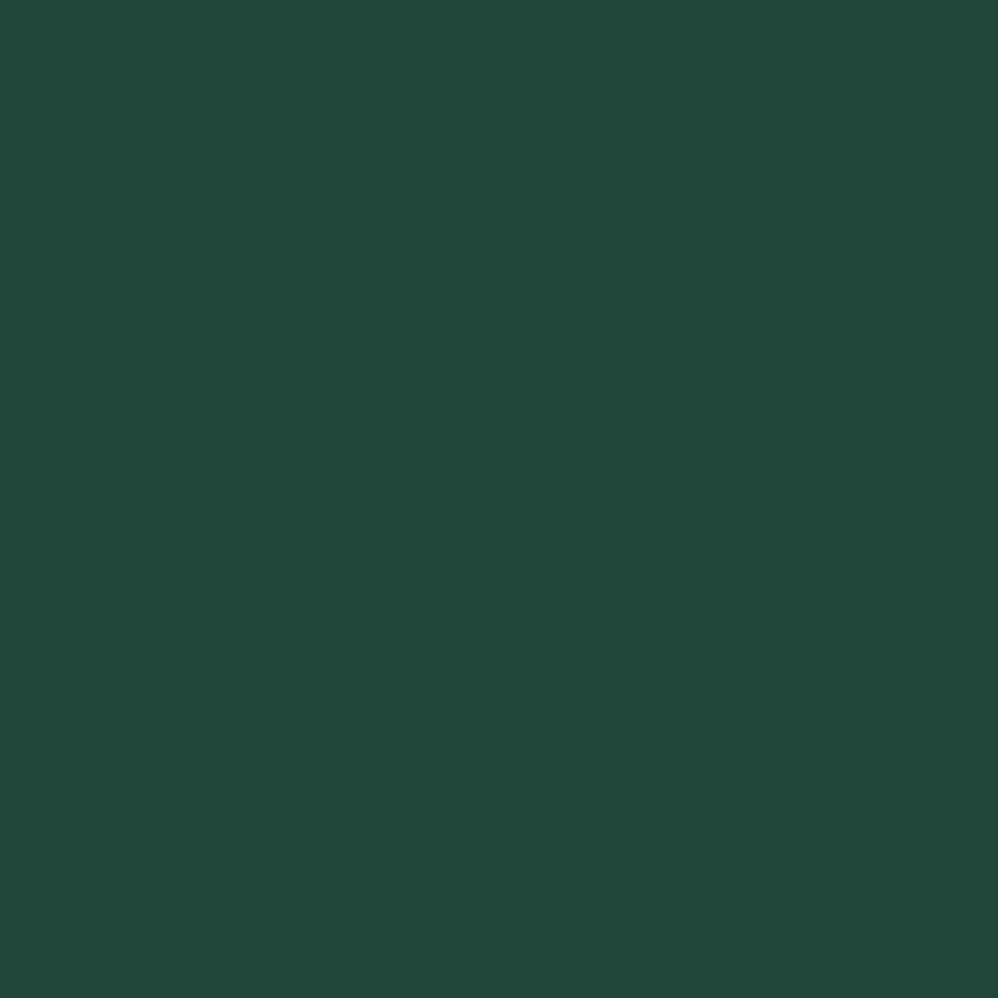 Columbia Women Green Aldermore Fleece Cargo Pant