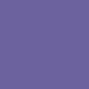 Columbia Women’s Purple Omni-Freeze Wild Springs Crew Neck Tee