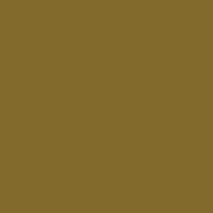 Columbia Men’s Olive Green Omni-Shade PFG Uncharted Shorts