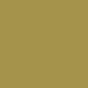 Columbia Men’s Olive Green Omni-Freeze Wild Cast Sun Protection T-Shirt