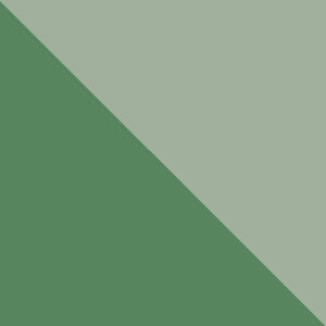 Mountain Hardwear Unisex Green Bridger 6 Tent