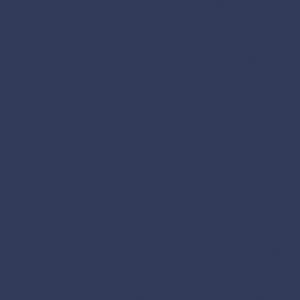 Columbia Women Navy Blue Delta Ridge Down Jacket