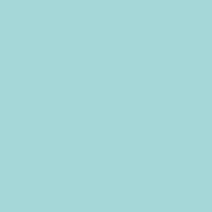 Columbia Womens Turquoise Beaumount Graphic Crew Pullover